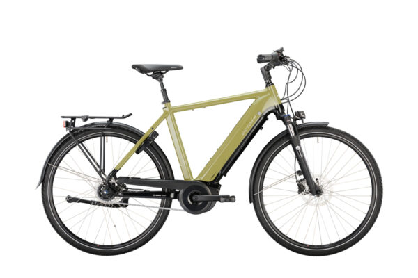 Victoria eTrekking 11.5